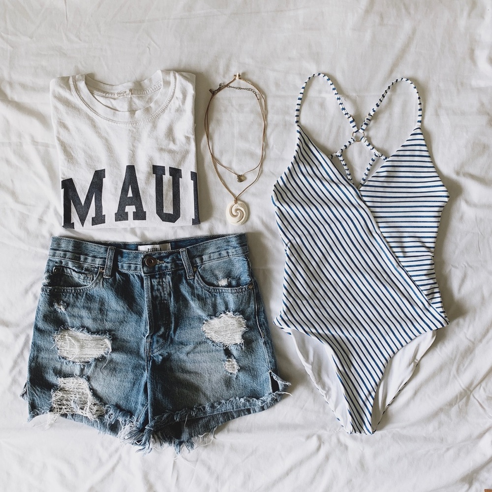 L-Space Horizon Stripe Blair Swimsuit